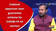 Cabinet approves loan guarantee scheme for COVID-19 hit sectors	