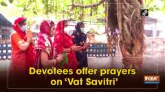 Devotees offer prayers on 'Vat Savitri'