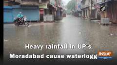 Heavy rainfall in UP's Moradabad cause waterlogging 