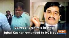 Dawood Ibrahim's brother Iqbal Kaskar remanded to NCB custody