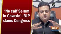 'No calf serum in Covaxin': BJP slams Congress 