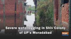 Watch: Severe waterlogging in Shiv Colony of UP's Moradabad