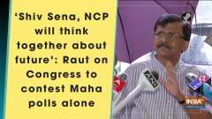 'Shiv Sena, NCP will think together about future': Raut on Congress to contest Maha polls alone