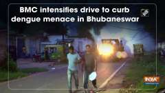 BMC intensifies drive to curb dengue menace in Bhubaneswar