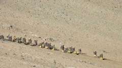 India & China Disengage in Eastern Ladakh's Gogra  after 12th round of Corps Commander talks