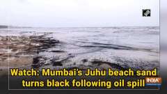 Watch: Mumbai's Juhu beach sand turns black following oil spill
