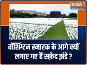 Watch: Why have numerous white flags been planted near Washington Monument?