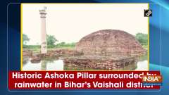 Historic Ashoka Pillar surrounded by rainwater in Bihar's Vaishali district