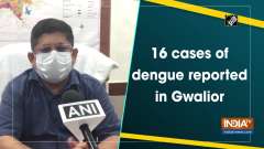 16 cases of dengue reported in Gwalior	