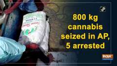 800 kg cannabis seized in AP, 5 arrested