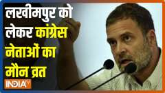 Congress to observe 'maun vrat' today to protest against Lakhimpur violence 