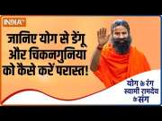 Know yogasanas and ayurvedic remedies from Swami Ramdev to avoid Zika virus and Dengue