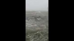 Hurricane Dorian submerges Bahamas Airport  | Watch
