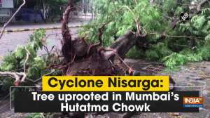 Cyclone Nisarga: Tree uprooted in Mumbai's Hutatma Chowk
