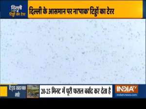 Delhi on high alert after swarm of locusts reache Gurugram