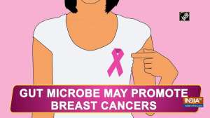 Gut microbe may promote breast cancers