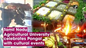 Tamil Nadu Agricultural University celebrates Pongal with cultural events