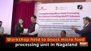 Workshop held to boost micro food processing unit in Nagaland