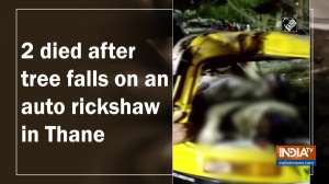 2 died after tree fell on an auto rickshaw in Thane