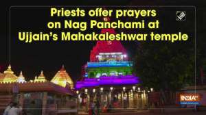 Priests offer prayers on Nag Panchami at Ujjain's Mahakaleshwar temple